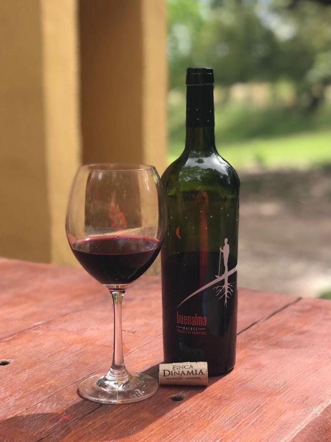 Finca La Encantada San Rafael  Kültér fotó