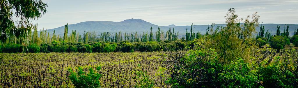 Finca La Encantada San Rafael  Kültér fotó