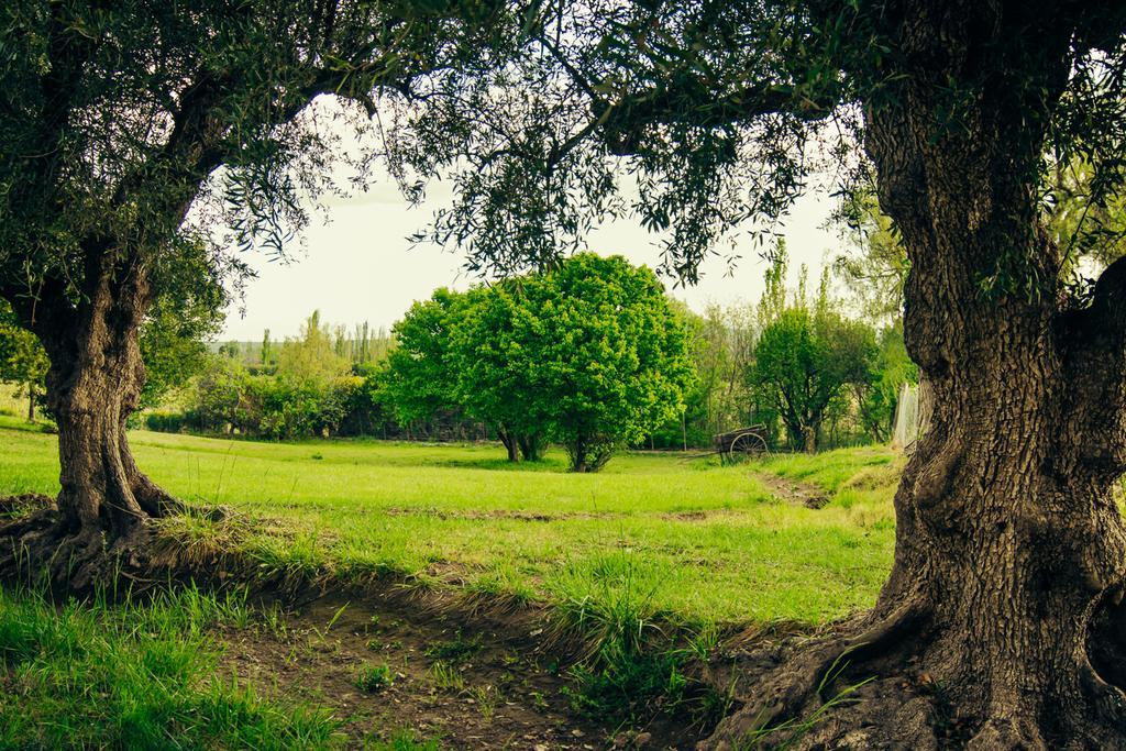 Finca La Encantada San Rafael  Kültér fotó
